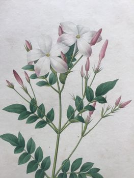 Produktillustration