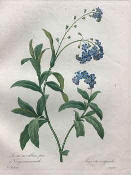 Illustration du produit