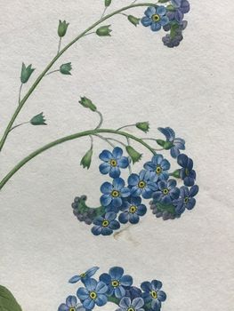 Illustration du produit