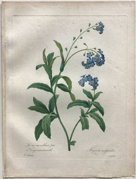 Illustration du produit