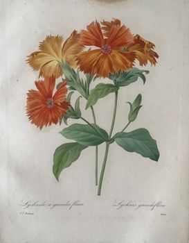 Product illustration