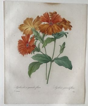 Product illustration