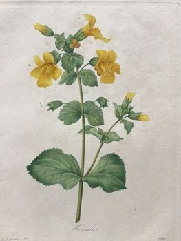 Product illustration