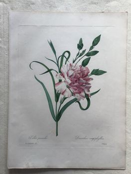 Illustration du produit