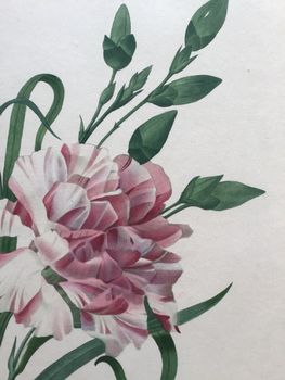Illustration du produit