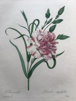 Illustration du produit