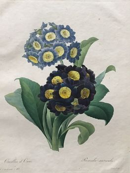 Produktillustration