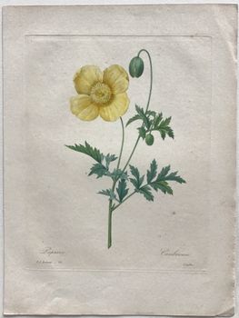 Product illustration