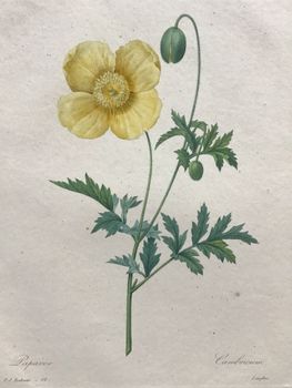 Product illustration
