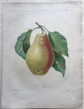 Product illustration