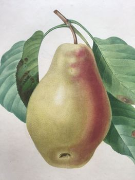 Product illustration