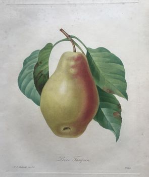 Product illustration