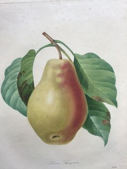 Product illustration