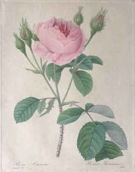 Produktillustration