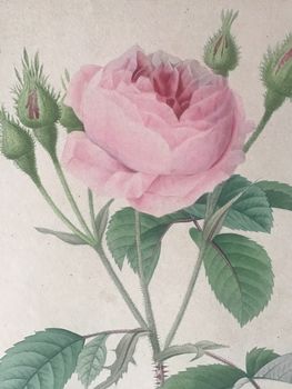 Produktillustration