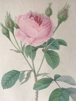 Produktillustration