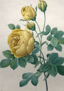 Produktillustration
