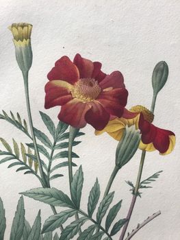 Product illustration