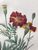 Product Redouté. Tagetes. Oeillet d'Inde. miniatuur