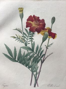 Product illustration