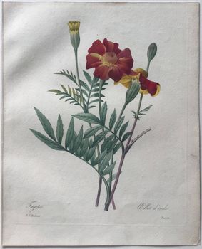 Product illustration