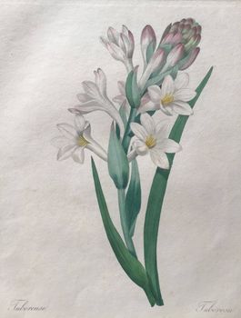 Produktillustration