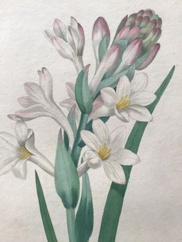 Produktillustration