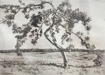 Illustration du produit
