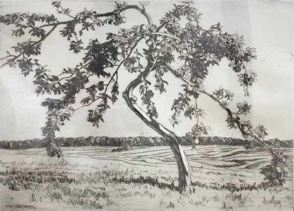 Image du produit René Allenbach. Pêcher.