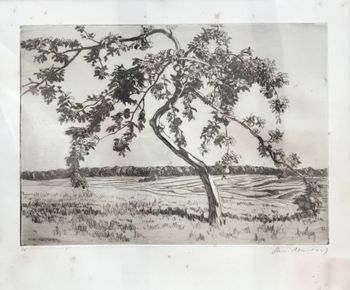 Illustration du produit