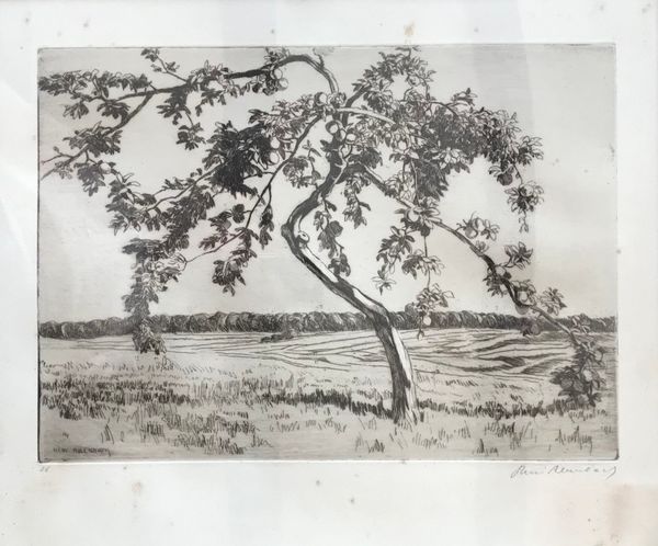 Image du produit René Allenbach. Pêcher.