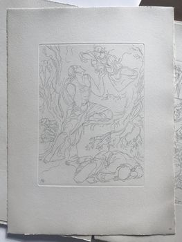 Illustration du produit