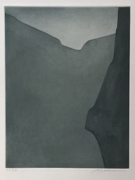 Product image Robert Simon. Face grise.