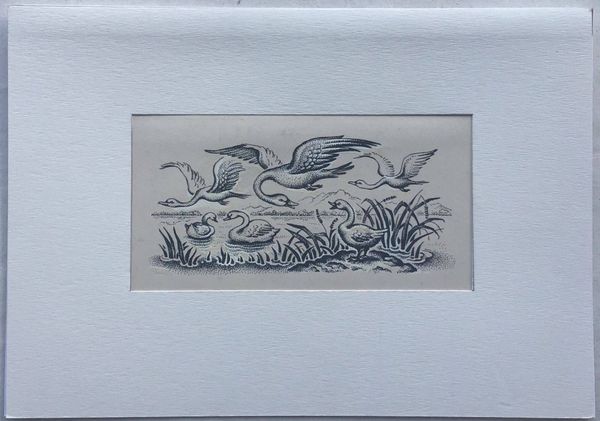 Productafbeelding Rosa Monzel. Andersen. Le Vilain petit canard.
