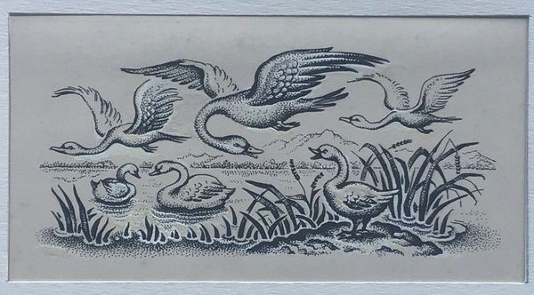 Productafbeelding Rosa Monzel. Andersen. Le Vilain petit canard.