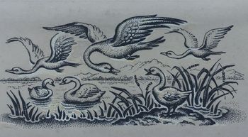 Produktillustration