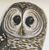 Product Rough legged Falcon. Barred Owl. Short cared O. miniatuur