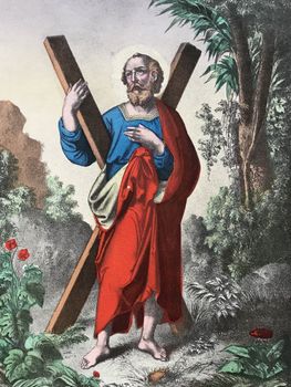 Illustration du produit