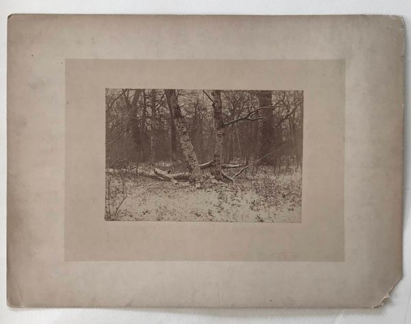 Produktbild Sous bois sous la neige. Photographie vers 1865.