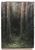 Product Sous bois. miniatuur
