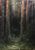 Product Sous bois. miniatuur