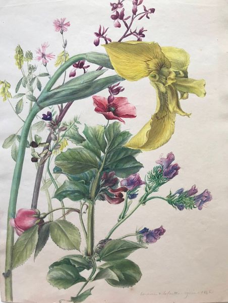 Productafbeelding Souvenir de la fontaine Egérie. Etude de fleurs.