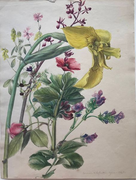 Productafbeelding Souvenir de la fontaine Egérie. Etude de fleurs.