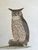 Product Strix bubo. miniatuur