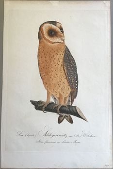 Produktillustration