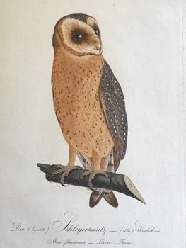 Produktillustration