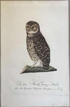 Produktillustration