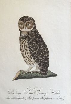 Produktillustration