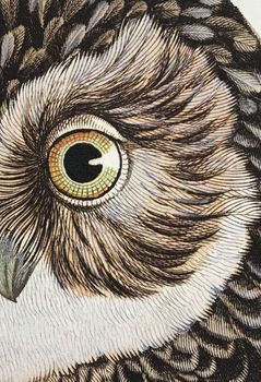 Produktillustration