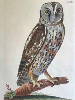 Produktillustration